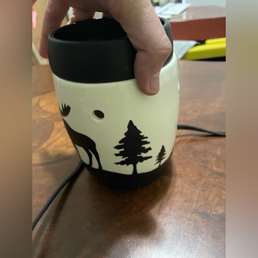 Super Cute Scentsy Wax Warmer - Picture 6 of 7